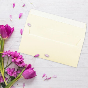 25 Brief-Umschläge DIN Lang - Vanille (Creme) - 110 g/m² - 11 x 22 cm - sehr formstabil - Haftklebung - Qualitätsmarke: FarbenFroh by GUSTAV NEUSER