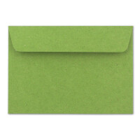 300x Vintage Umschläge in hellgrün (grün) - DIN B6 125 x 176 mm - 120 g/m² Kraftpapier Recycling Umschläge Haftklebung - GUSTAV NEUSER