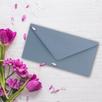50 Brief-Umschläge Graublau (Blau) DIN Lang - 110 x 220 mm (11 x 22 cm) - Nassklebung ohne Fenster - Ideal für Einladungs-Karten - Serie FarbenFroh
