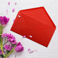 25 Brief-Umschläge Rot DIN Lang - 110 x 220 mm (11 x 22 cm) - Nassklebung ohne Fenster - Ideal für Einladungs-Karten - Serie FarbenFroh