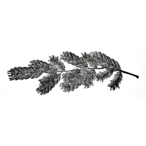 Artoz Stempel – Holzstempel – „Tannenzweig gross“ – 90 x 30 mm – Motivstempel zum Kartenbasteln für Weihnachten, Einladungen, Grüße