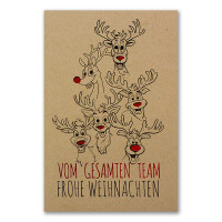 924-106 lustige Weihnachtskarte Öko "Team"