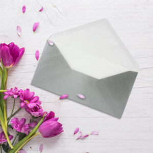 50 Brief-Umschläge Silber Metallic DIN Lang - 110 x 220 mm (11 x 22 cm) - Nassklebung ohne Fenster - Ideal für Einladungs-Karten - Serie FarbenFroh
