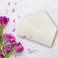 25 Brief-Umschläge Natur-Weiß DIN Lang - 110 x 220 mm (11 x 22 cm) - Nassklebung ohne Fenster - Ideal für Einladungs-Karten - Serie FarbenFroh