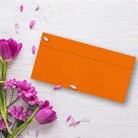 300 Brief-Umschläge DIN Lang - Orange - 110 g/m² - 11 x 22 cm - sehr formstabil - Haftklebung - Qualitätsmarke: FarbenFroh by GUSTAV NEUSER