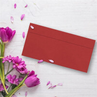 25 Brief-Umschläge DIN Lang - Dunkel-Rot - 110 g/m² - 11 x 22 cm - sehr formstabil - Haftklebung - Qualitätsmarke: FarbenFroh by GUSTAV NEUSER
