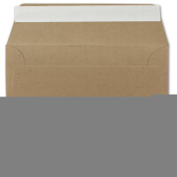250x Kraftpapier Umschläge DIN Lang - Braun ÖKO - Haftklebung selbstklebend 11 x 22 cm - 120 g/m² Briefumschläge ohne Fenster aus Recycling Papier - von NEUSER PAPIER