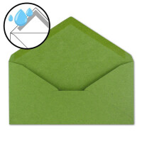 25x Kraftpapier-Umschläge DIN Lang - Hell-Grün - Nassklebung 11 x 22 cm - Brief-Umschläge aus Recycling-Papier - Vintage Kuverts von NEUSER PAPIER