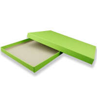 3x DIN A4 - Hochwertige Geschenk- und Aufbewahrungsbox - 30,2 x 21,3 x 2,1 cm - Hellgrün - stabiler 650 g/m² Karton