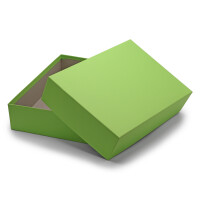 Hochwertige Aufbewahrungs- und Geschenkboxen - 1 Stück - DIN A4 - Hellgrün (Grün) bezogen - 302 x 213 x 70 mm