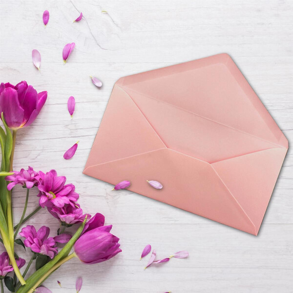 200 Brief-Umschläge Altrosa (Rosa) DIN Lang - 110 x 220 mm (11 x 22 cm) - Nassklebung ohne Fenster - Ideal für Einladungs-Karten - Serie FarbenFroh