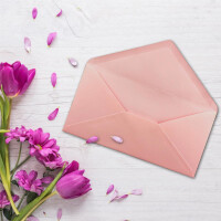 200 Brief-Umschläge Altrosa (Rosa) DIN Lang - 110 x 220 mm (11 x 22 cm) - Nassklebung ohne Fenster - Ideal für Einladungs-Karten - Serie FarbenFroh
